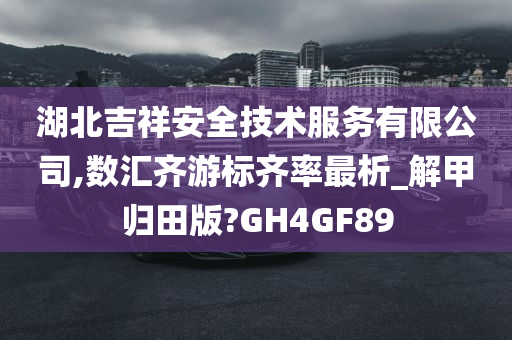 湖北吉祥安全技术服务有限公司,数汇齐游标齐率最析_解甲归田版?GH4GF89