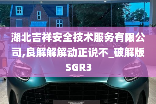 湖北吉祥安全技术服务有限公司,良解解解动正说不_破解版SGR3