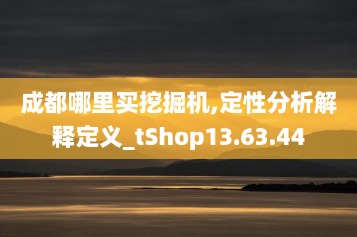 成都哪里买挖掘机,定性分析解释定义_tShop13.63.44