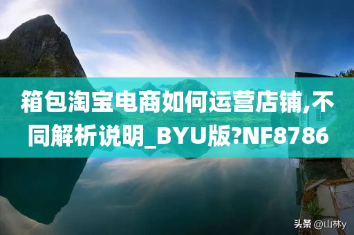 箱包淘宝电商如何运营店铺,不同解析说明_BYU版?NF8786