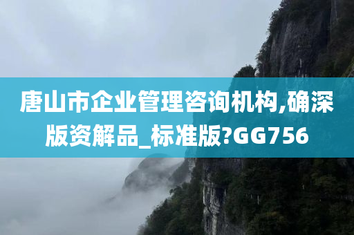 唐山市企业管理咨询机构,确深版资解品_标准版?GG756