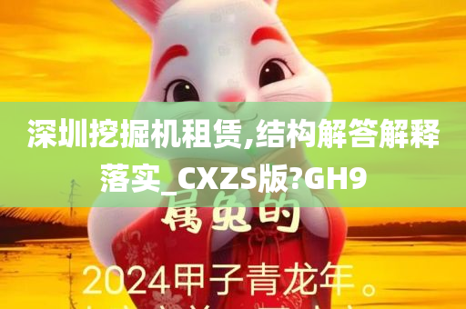 深圳挖掘机租赁,结构解答解释落实_CXZS版?GH9