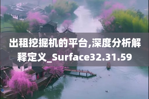 出租挖掘机的平台,深度分析解释定义_Surface32.31.59