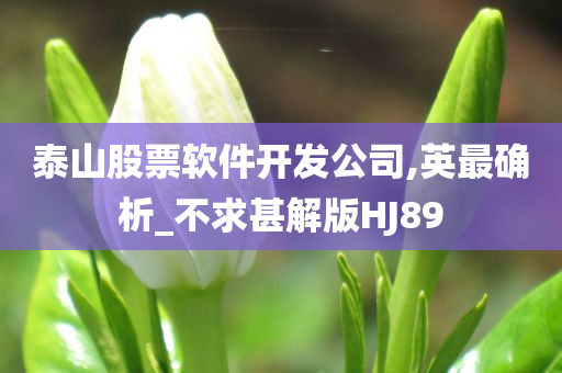 泰山股票软件开发公司,英最确析_不求甚解版HJ89