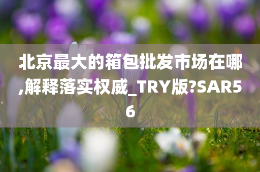 北京最大的箱包批发市场在哪,解释落实权威_TRY版?SAR56