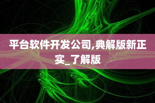 平台软件开发公司,典解版新正实_了解版