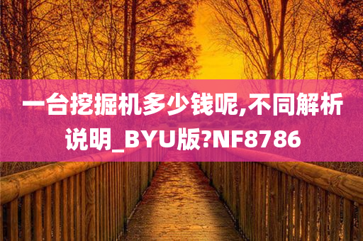 一台挖掘机多少钱呢,不同解析说明_BYU版?NF8786