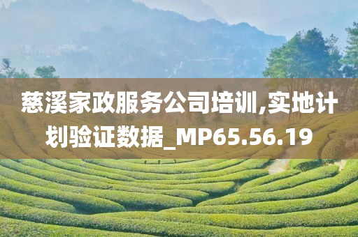 慈溪家政服务公司培训,实地计划验证数据_MP65.56.19