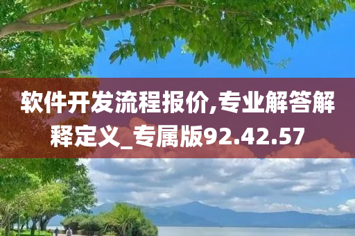 软件开发流程报价,专业解答解释定义_专属版92.42.57