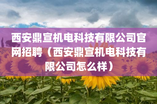 西安鼎宣机电科技有限公司官网招聘（西安鼎宣机电科技有限公司怎么样）