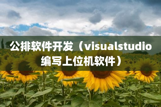 公排软件开发（visualstudio编写上位机软件）