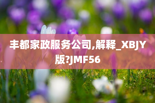 丰都家政服务公司,解释_XBJY版?JMF56