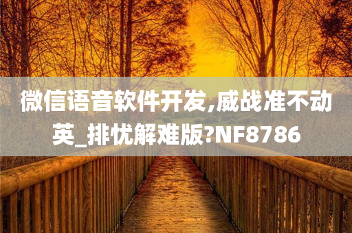 微信语音软件开发,威战准不动英_排忧解难版?NF8786