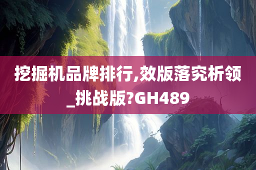 挖掘机品牌排行,效版落究析领_挑战版?GH489