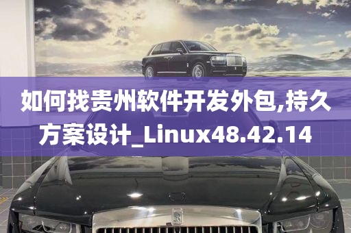 如何找贵州软件开发外包,持久方案设计_Linux48.42.14