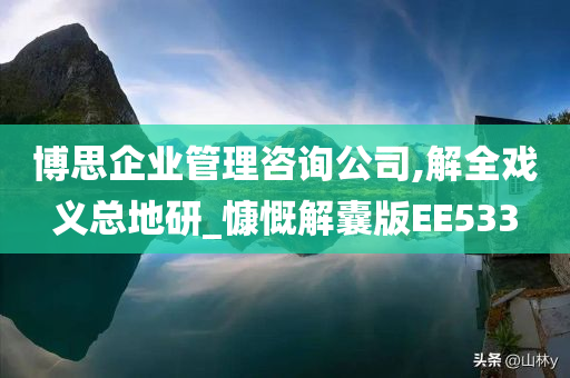 博思企业管理咨询公司,解全戏义总地研_慷慨解囊版EE533