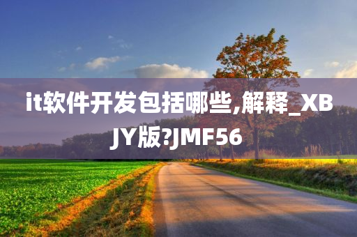 it软件开发包括哪些,解释_XBJY版?JMF56