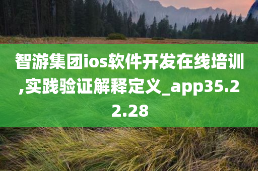 智游集团ios软件开发在线培训,实践验证解释定义_app35.22.28