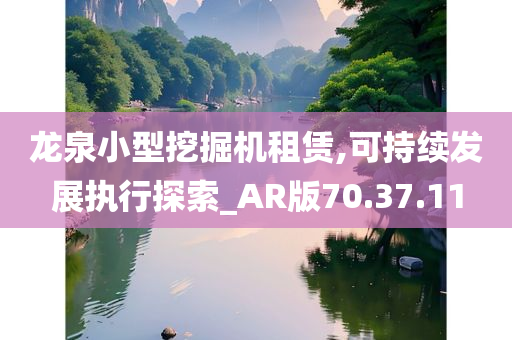 龙泉小型挖掘机租赁,可持续发展执行探索_AR版70.37.11