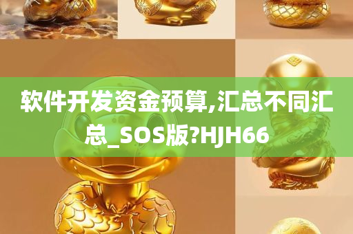 软件开发资金预算,汇总不同汇总_SOS版?HJH66