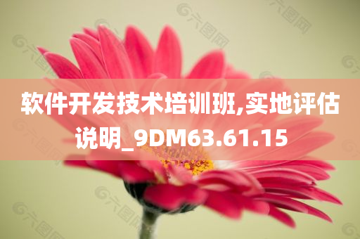 软件开发技术培训班,实地评估说明_9DM63.61.15