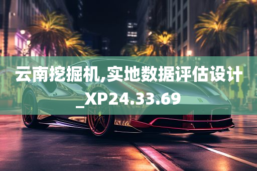 云南挖掘机,实地数据评估设计_XP24.33.69