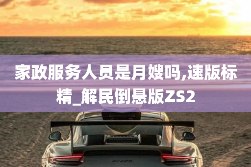 家政服务人员是月嫂吗,速版标精_解民倒悬版ZS2