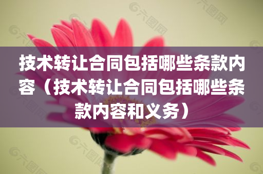 技术转让合同包括哪些条款内容（技术转让合同包括哪些条款内容和义务）