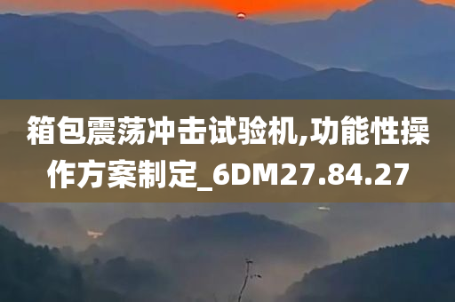 箱包震荡冲击试验机,功能性操作方案制定_6DM27.84.27