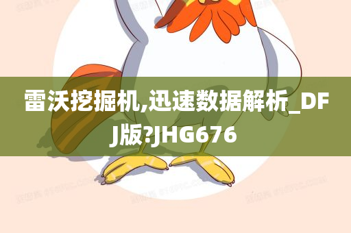 雷沃挖掘机,迅速数据解析_DFJ版?JHG676