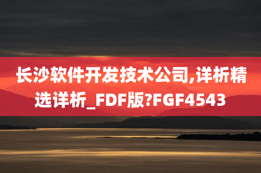 长沙软件开发技术公司,详析精选详析_FDF版?FGF4543