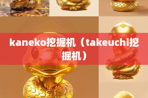 kaneko挖掘机（takeuchi挖掘机）