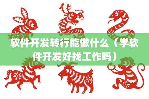 软件开发转行能做什么（学软件开发好找工作吗）