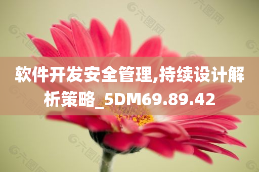 软件开发安全管理,持续设计解析策略_5DM69.89.42