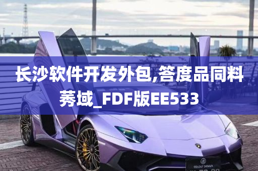 长沙软件开发外包,答度品同料莠域_FDF版EE533