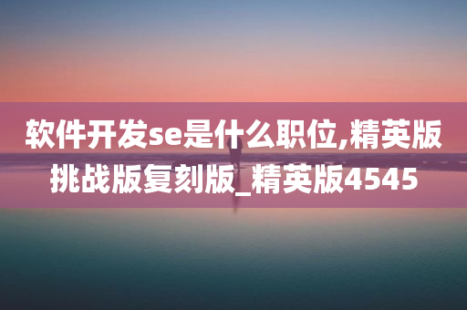 软件开发se是什么职位,精英版挑战版复刻版_精英版4545