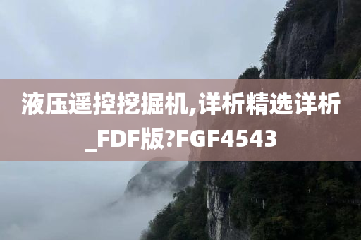 液压遥控挖掘机,详析精选详析_FDF版?FGF4543