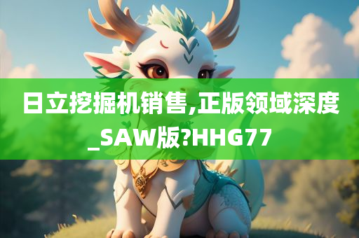 日立挖掘机销售,正版领域深度_SAW版?HHG77