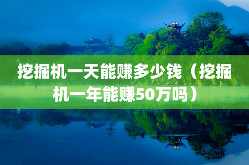 挖掘机一天能赚多少钱（挖掘机一年能赚50万吗）