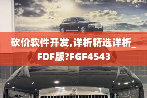 砍价软件开发,详析精选详析_FDF版?FGF4543