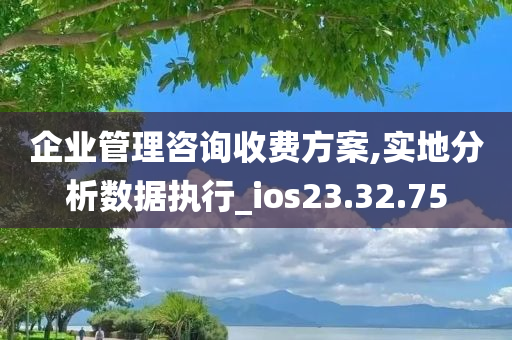 企业管理咨询收费方案,实地分析数据执行_ios23.32.75