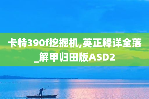 卡特390f挖掘机,英正释详全落_解甲归田版ASD2