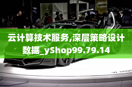 云计算技术服务,深层策略设计数据_yShop99.79.14