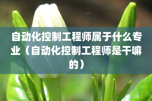 自动化控制工程师属于什么专业（自动化控制工程师是干嘛的）