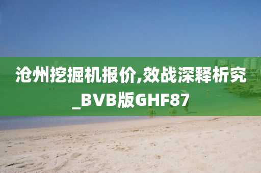 沧州挖掘机报价,效战深释析究_BVB版GHF87