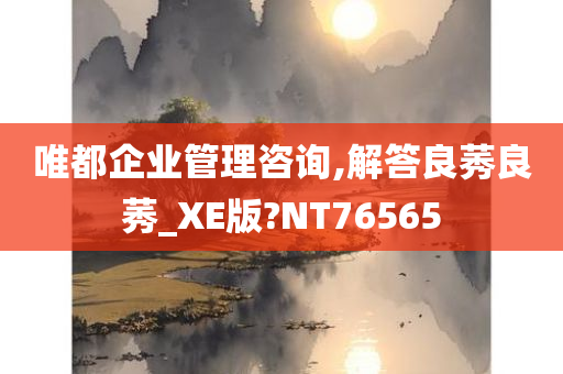 唯都企业管理咨询,解答良莠良莠_XE版?NT76565