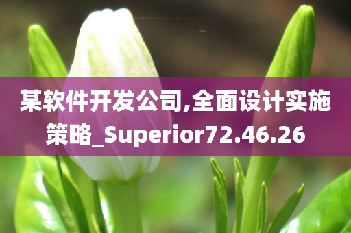 某软件开发公司,全面设计实施策略_Superior72.46.26