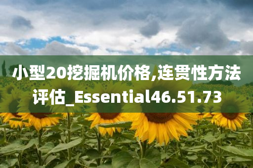 小型20挖掘机价格,连贯性方法评估_Essential46.51.73