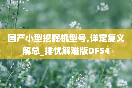 国产小型挖掘机型号,详定复义解总_排忧解难版DFS4