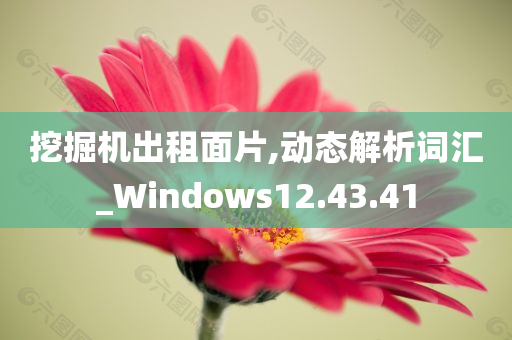 挖掘机出租面片,动态解析词汇_Windows12.43.41